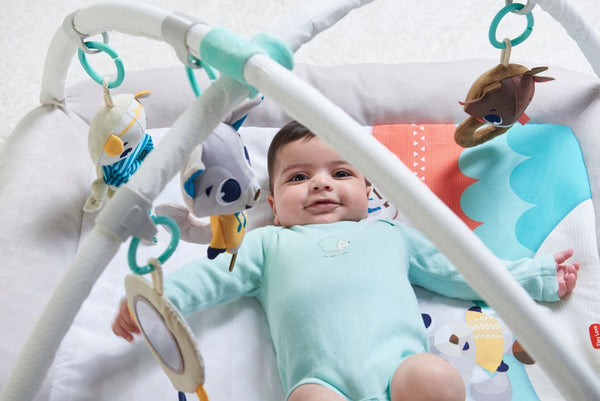 Tiny Love baby gym - Plush Wonders - Tiny Love