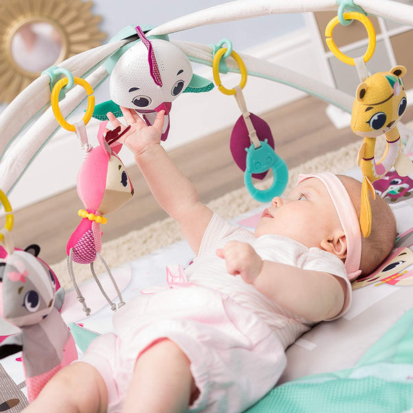 Tiny Love baby gym - Tiny Princess Deluxe - Sold out